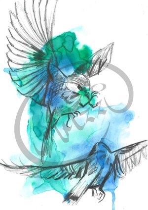 bird